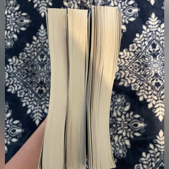 EXCELLENT CONDITION Hunger Games Set - Hunger Games, Catching Fire, Mockingjay - Picture 8 of 8